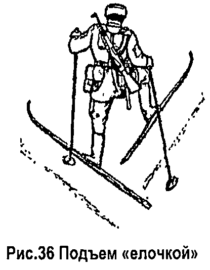 Ход елочка. Подъем "елочкой" (рис. 3). Подъем елочкой на лыжах. Подъём ёлочкой на лыжах техника. Елочка лыжи.