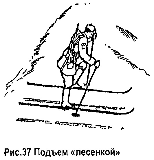 Рисунок подъема. Подъём зигзагом на лыжах техника. Техника подъема лесенкой на лыжах. Подъем лесенкой на лыжах. Способы подъемов в горы на лыжах зигзагом.