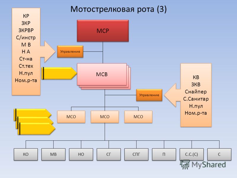 Количество мотострелковых рот в мотострелковом батальоне. Организационно-штатная структура МСР на БМП. Структура мотострелкового полка. Организация мотострелковой роты на БМП. Организация и вооружение МСБ на БТР.