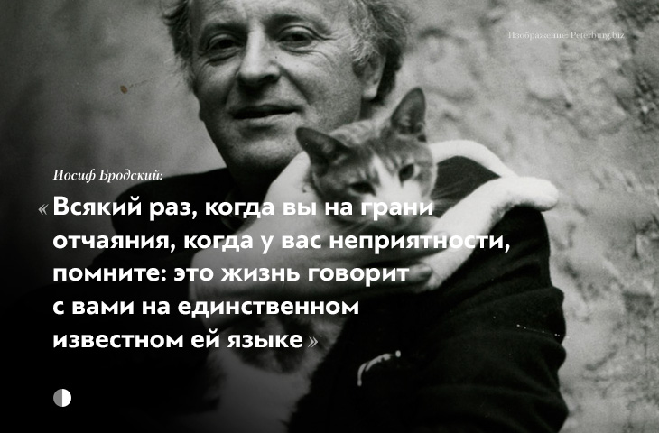 Глупости поэзии. Бродский цитаты. Бродский лучшие цитаты. Бродский о России. Бродский о жизни.