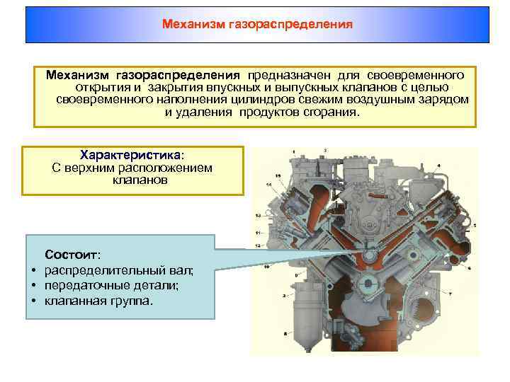 Для чего предназначен газораспределительный механизм. Газораспределительный механизм. для чего предназначен механизм газораспределения. удаления продуктов нагара газораспределительный механизм. для чего предназначено газораспределение.