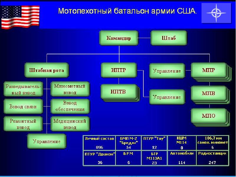 Состав мотопехотного батальона. Мотопехотный батальон вс США. Организационно штатная структура батальона США. Мотопехотный батальон армии США структура. Организационно штатная структура мотострелкового батальона США.